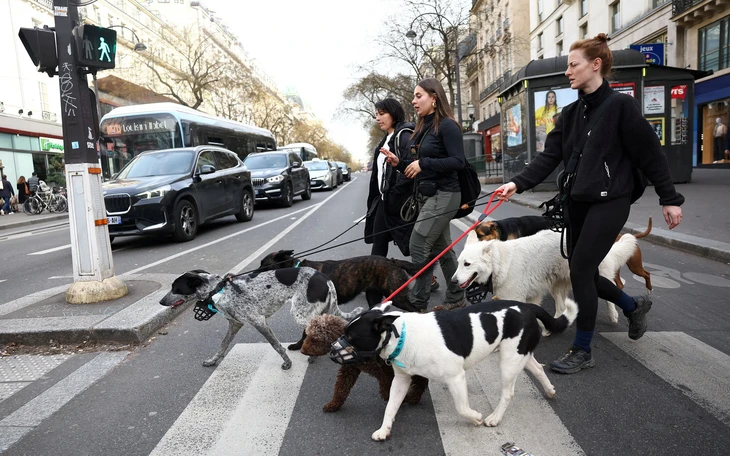 Kết quả bầu thị trưởng Paris: 25 năm bất bại trước làn sóng cực hữu Kết quả bầu thị trưởng Paris: 25 năm bất bại trước làn sóng cực hữu