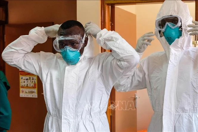 Không phải Ebola hay virus Hanta, đây mới là dịch bệnh nào đáng lo ngại nhất hiện nay Không phải Ebola hay virus Hanta, đây mới là dịch bệnh nào đáng lo ngại nhất hiện nay