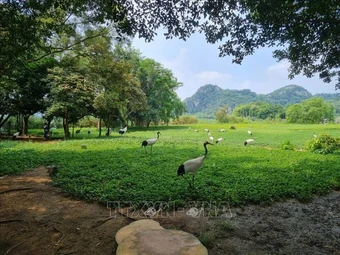 LHQ thúc đẩy nỗ lực bảo vệ đa dạng sinh học toàn cầu