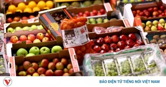 Liên Hợp Quốc cảnh báo giá thực phẩm tăng vọt, Anh họp khẩn