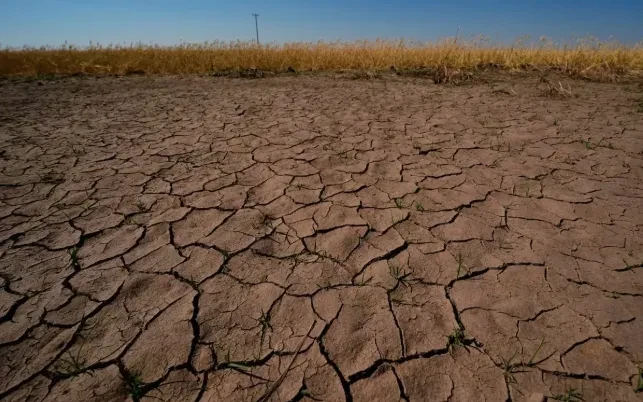Liên hợp quốc kêu gọi sẵn sàng đối phó nắng nóng cực đoan do El Nino Liên hợp quốc kêu gọi sẵn sàng đối phó nắng nóng cực đoan do El Nino