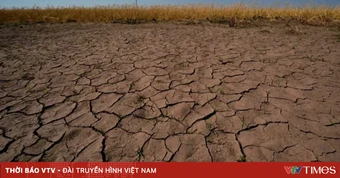 Liên hợp quốc kêu gọi sẵn sàng đối phó nắng nóng cực đoan do El Nino