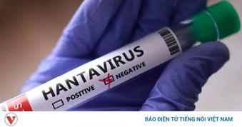 Lo ngại virus Hanta, nhiều nước khẩn trương truy vết hành khách từ tàu du lịch