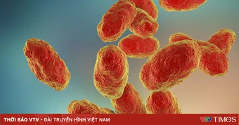 Mỹ cảnh báo nguy cơ bệnh truyền nhiễm nguy hiểm đối với trẻ nhỏ trở lại