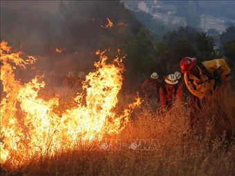 Mỹ: Cháy rừng tiếp tục hoành hành tại bang Washington