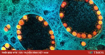 Mỹ lần đầu phê duyệt vaccine cúm mùa ứng dụng công nghệ mRNA