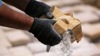 Mexico: 11 người thiệt mạng trong chiến dịch truy quét ma túy