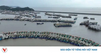 Miền Đông Trung Quốc ứng phó khẩn cấp với bão Dolphin