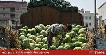 Một gia đình Ấn Độ tử vong do ăn dưa hấu chứa thuốc diệt chuột
