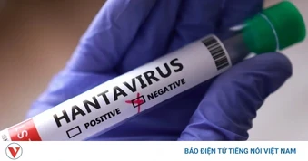 Một số nước cử máy bay để sơ tán công dân trên tàu du lịch bị dịch Hanta