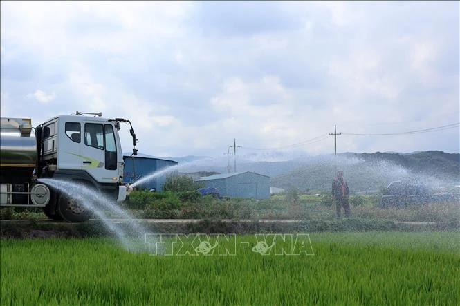 Nắng nóng cực đoan lan rộng, gia tăng sức ép lên nguồn nước và lương thực Nắng nóng cực đoan lan rộng, gia tăng sức ép lên nguồn nước và lương thực