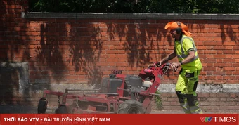 Nắng nóng trở thành vấn đề chính sách tại châu Âu
