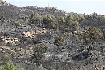 Ngày Trái Đất 2026: Những thách thức không chỉ từ môi trường
