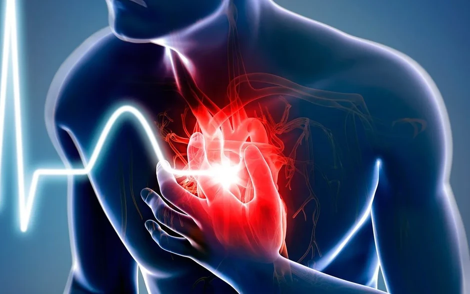 Nghiên cứu mới của Pháp cảnh báo rủi ro từ chất bảo quản thực phẩm Nghiên cứu mới của Pháp cảnh báo rủi ro từ chất bảo quản thực phẩm