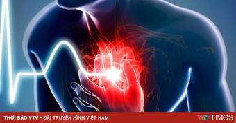Nghiên cứu mới của Pháp cảnh báo rủi ro từ chất bảo quản thực phẩm