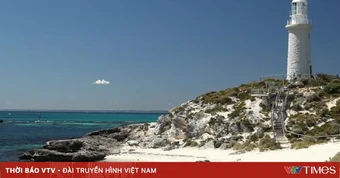 Người đàn ông tử vong do bị cá mập tấn công ở đảo du lịch của Australia