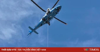 Người leo núi nguy kịch sau khi bị ong đốt hơn 100 lần tại Mỹ