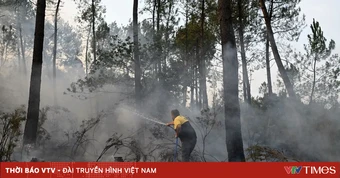 Nguy cơ cháy rừng vượt tầm kiểm soát ở châu Âu