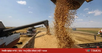 Nguy cơ khủng hoảng giá lương thực toàn cầu do gián đoạn tại eo biển Hormuz