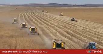 Nguy cơ thiếu hụt lương thực toàn cầu do xung đột Iran