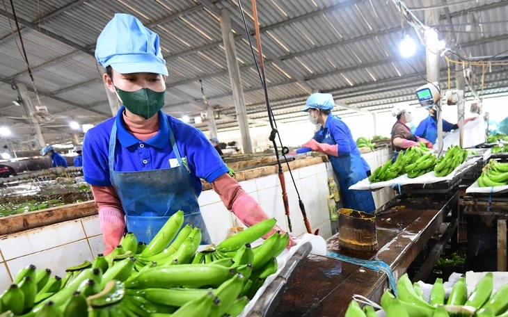 Nhân tố Việt Nam trong đối thoại Nga - ASEAN Nhân tố Việt Nam trong đối thoại Nga - ASEAN