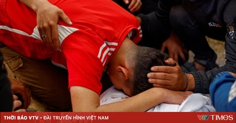 Nhân viên WHO thiệt mạng do trúng đạn tại Gaza