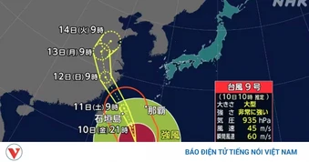Nhật Bản hủy gần 200 chuyến bay trước khi siêu bão Bavi đổ bộ