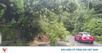 Nhật Bản oằn mình ứng phó với mưa bão