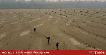 Nhiệt độ toàn cầu có thể liên tiếp vượt ngưỡng nguy hiểm trong 5 năm tới
