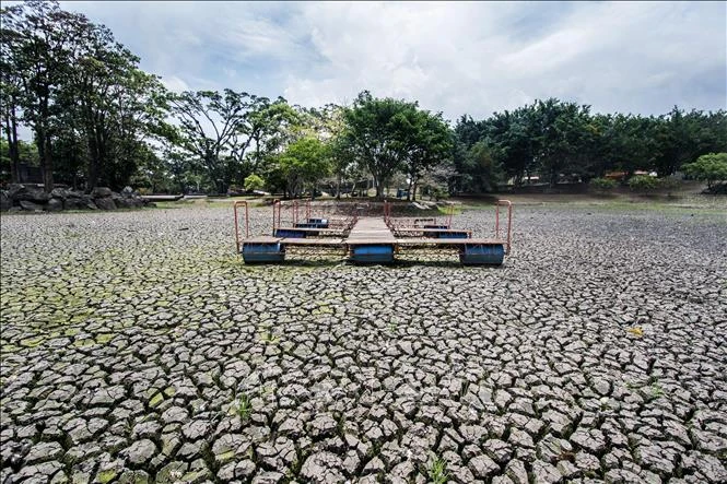 Nhiều khả năng xuất hiện El Nino cực mạnh trong năm nay Nhiều khả năng xuất hiện El Nino cực mạnh trong năm nay