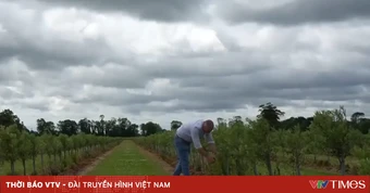 Nông nghiệp thích ứng với biến đổi khí hậu