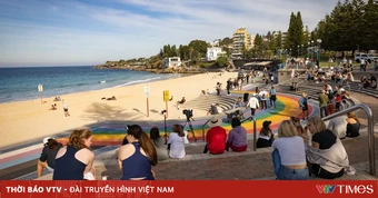 Nữ du khách nguy kịch sau khi bị cá mập tấn công tại Sydney