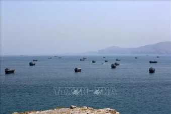 Oman đề xuất cơ chế quản lý chung eo biển Hormuz với Iran
