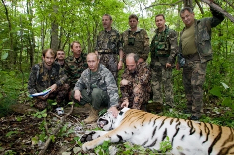 Ông Putin tặng 4 con hổ cho Kazakhstan