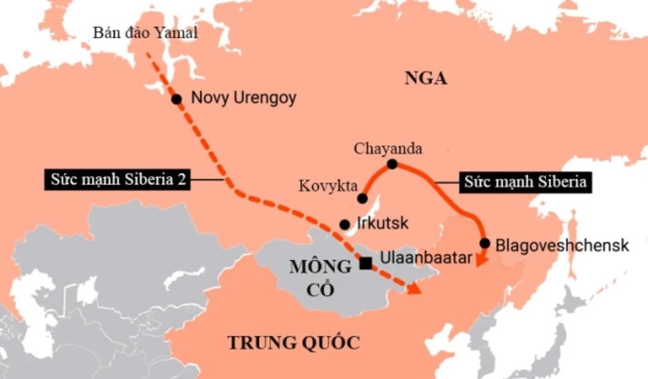 Ông Tập và ông Putin thưởng trà, bàn về 'những vấn đề quan trọng nhất' Ông Tập và ông Putin thưởng trà, bàn về 'những vấn đề quan trọng nhất'