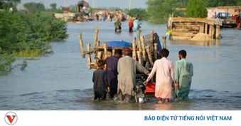 Pakistan khẩn trương khắc phục hậu quả mưa lũ, ưu tiên bảo vệ người dân và hạ tầng