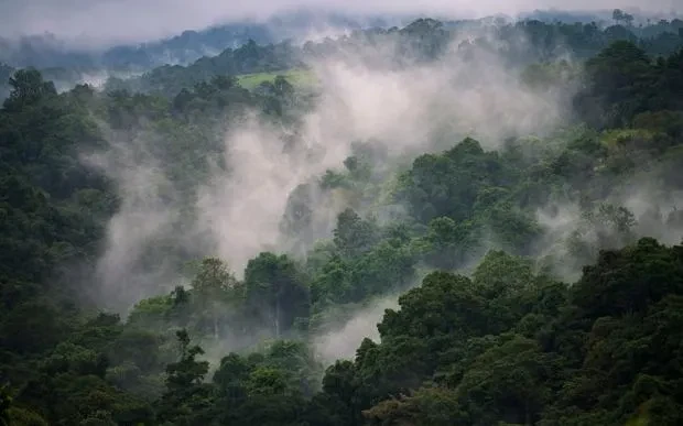 Papua New Guinea đứng trước nguy cơ thiếu lương thực do El Nino Papua New Guinea đứng trước nguy cơ thiếu lương thực do El Nino