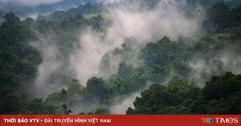 Papua New Guinea đứng trước nguy cơ thiếu lương thực do El Nino