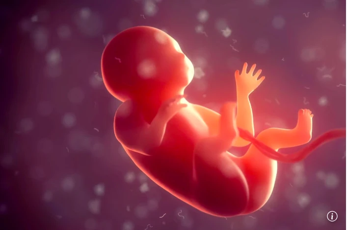 Phát hiện đáng ngại của Trung Quốc về sinh con trong không gian Phát hiện đáng ngại của Trung Quốc về sinh con trong không gian