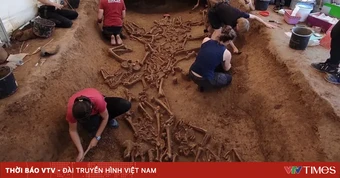 Phát hiện nhiều hài cốt không đầu 7.000 năm tuổi tại khu định cư cổ ở châu Âu