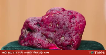 Phát hiện viên hồng ngọc khổng lồ siêu quý hiếm