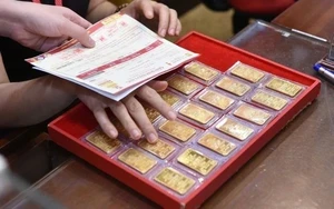 Phát minh của Nga đạt đột phá làm rung chuyển ngành năng lượng: Đốt cháy chất độc tồn tại nghìn năm