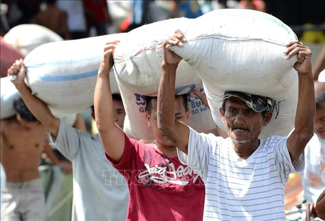 Philippines tăng cường nhập gạo nhằm ứng phó với El Niño và ổn định thị trường