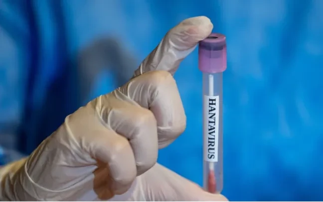 Quốc gia trải qua đợt bùng phát hantavirus kỷ lục