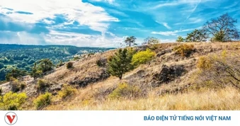 Séc đối mặt nguy cơ đợt hạn hán lịch sử, cảnh báo cháy rừng lan rộng trên cả nước