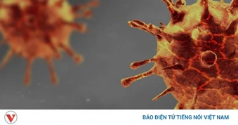 Thái Lan ban hành cảnh báo bệnh Whitmore sau khi ghi nhận 23 ca tử vong