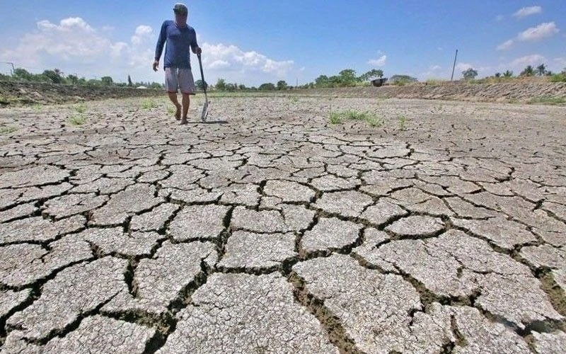 Thái Lan cảnh báo El Nino kéo dài tới năm 2027, Indonesia đẩy mạnh tích trữ gạo
