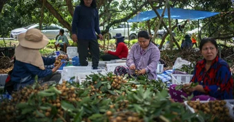 Thái Lan 'đau đầu' vì Campuchia, Myanmar, chỉ đang 'tiêm thuốc giảm đau để điều trị'