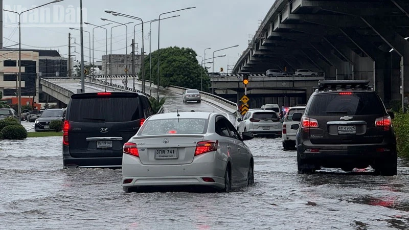 Thái Lan dồn lực chống lụt và hỗ trợ người dân di chuyển trong mưa lũ kéo dài Thái Lan dồn lực chống lụt và hỗ trợ người dân di chuyển trong mưa lũ kéo dài