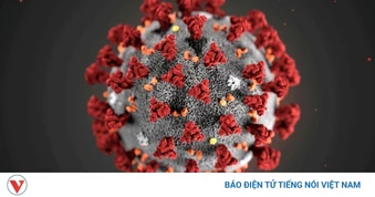 Thái Lan siết chặt kiểm soát y tế với hành khách đến từ vùng dịch Ebola